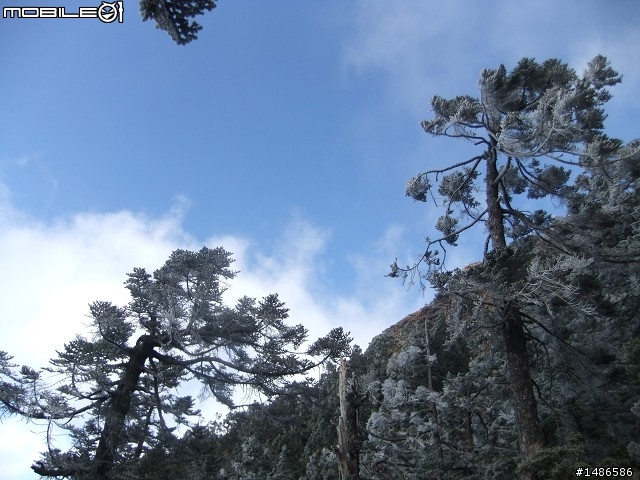 玉山暴走
