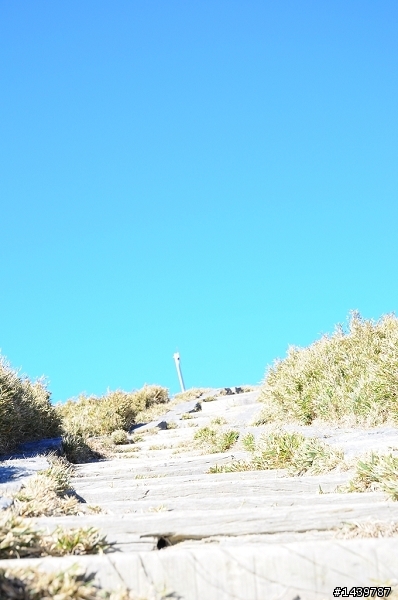 合歡山爆走兄弟在600km的旅程裡油0感動無價