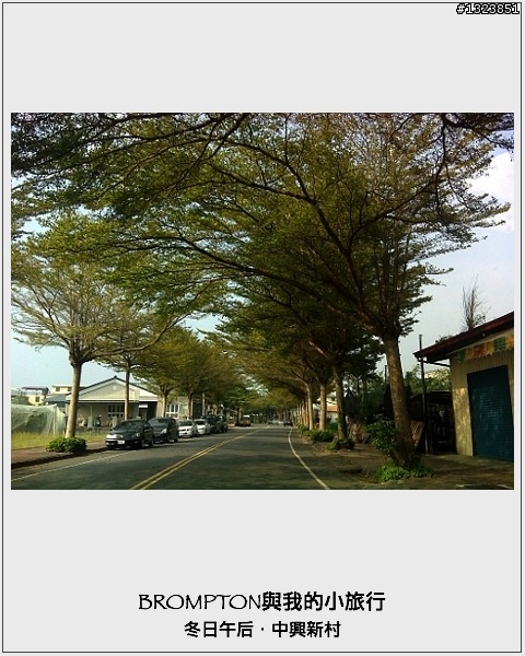 <BROMPTON與我的小旅行>冬日午后．中興新村