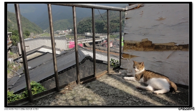 2010 瑞芳.九份.不厭亭，單車紀行