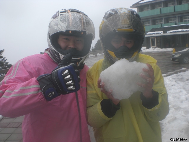 1/21 終於衝上去合歡山 武嶺了   都是雪