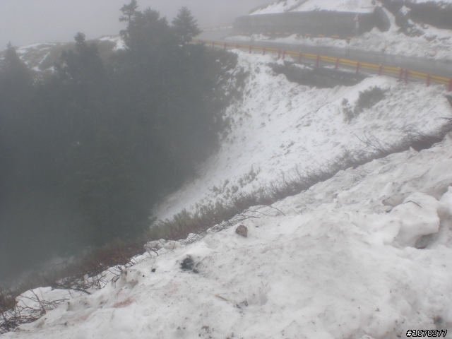 1/21 終於衝上去合歡山 武嶺了   都是雪