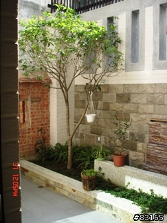 家中庭院魚池DIY