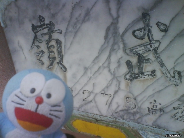 1/18 雪花飄飄武嶺去~