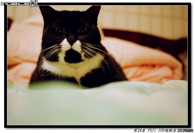 KLASSE S 初拍-fuji 100color-五色鳥沖掃…請指教