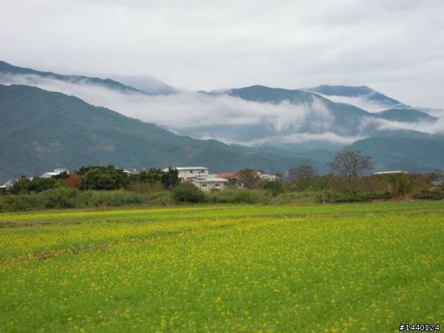 山路不暈
