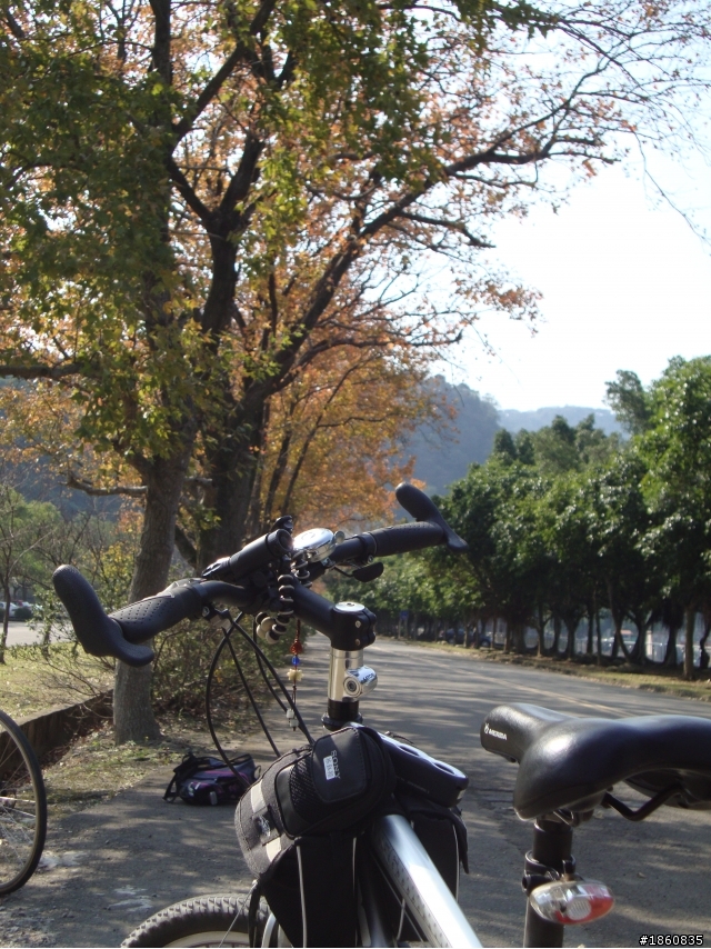 石門水庫賞楓行