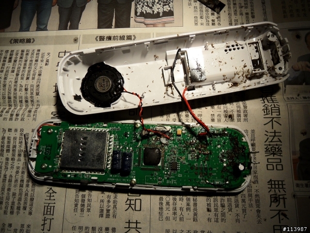 [噁心圖不喜勿入]電話螞蟻窩(新增東森新聞報導)
