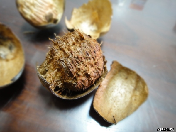 請懂羅漢果或開中藥店的朋友進來。