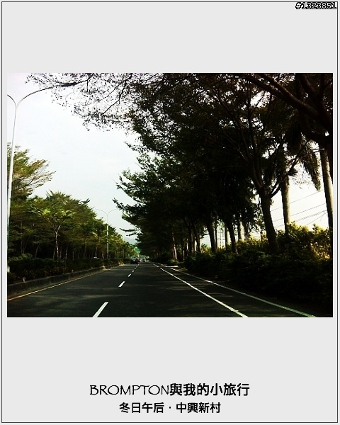 <BROMPTON與我的小旅行>冬日午后．中興新村