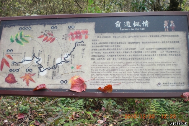 霞喀羅國家步道單騎越嶺—我和狗狗~小黑(上)