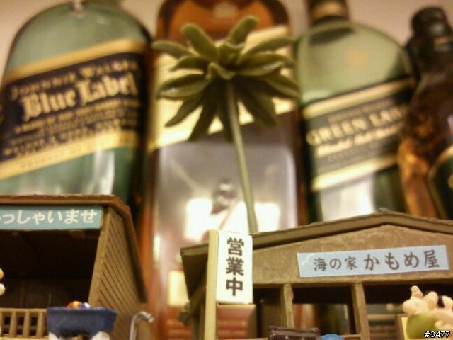[N規場景remix書櫃迷你Bar]徐徐吹來海風的鹹味，女孩子肌膚的溫度