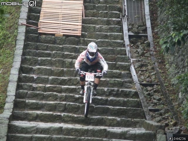 2011/01/08 Specialized 黃金小鎮精英下坡賽 照片