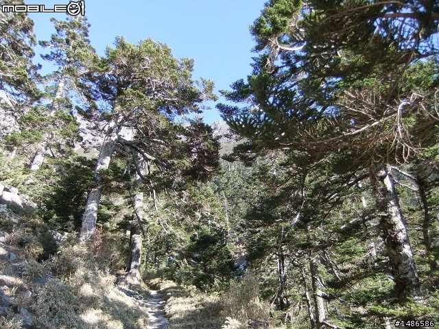 玉山暴走
