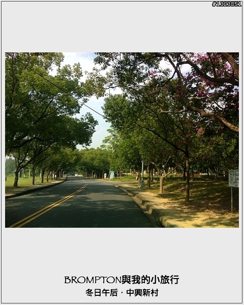 <BROMPTON與我的小旅行>冬日午后．中興新村