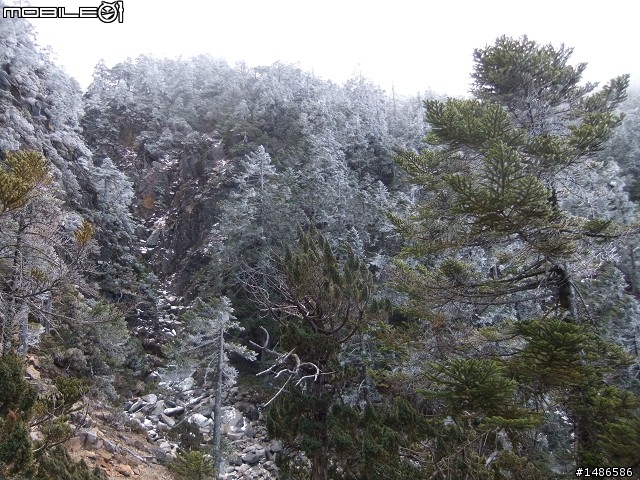 玉山暴走