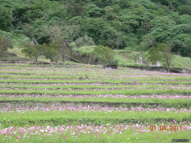 百年環島記遊－台灣之最(中)~大逆不道,東岸巡禮