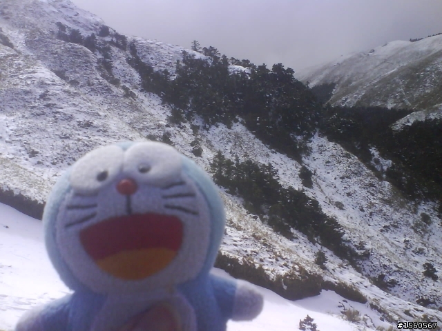 1/18 雪花飄飄武嶺去~