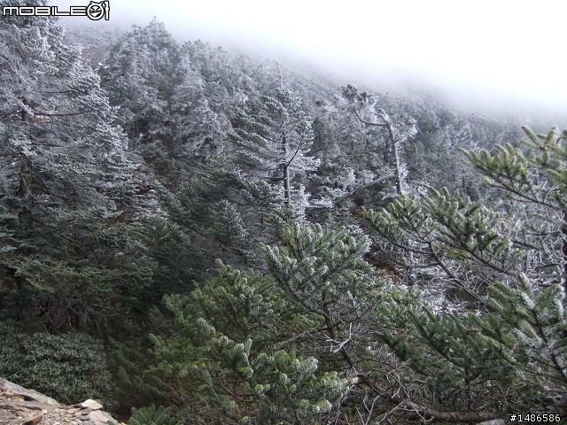 玉山暴走