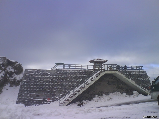 1/18 雪花飄飄武嶺去~