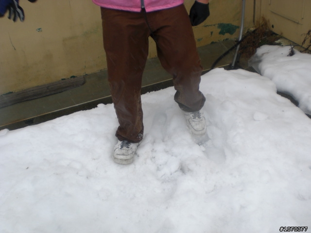 1/21 終於衝上去合歡山 武嶺了   都是雪