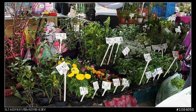 三重區 重新橋下跳蚤市場試看照片