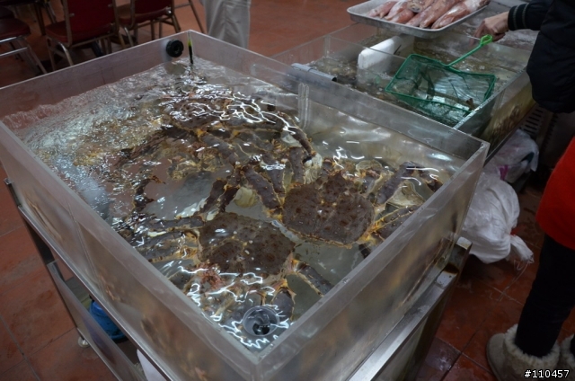 （開箱）I10手排新年首發，歡迎一起蓋公寓