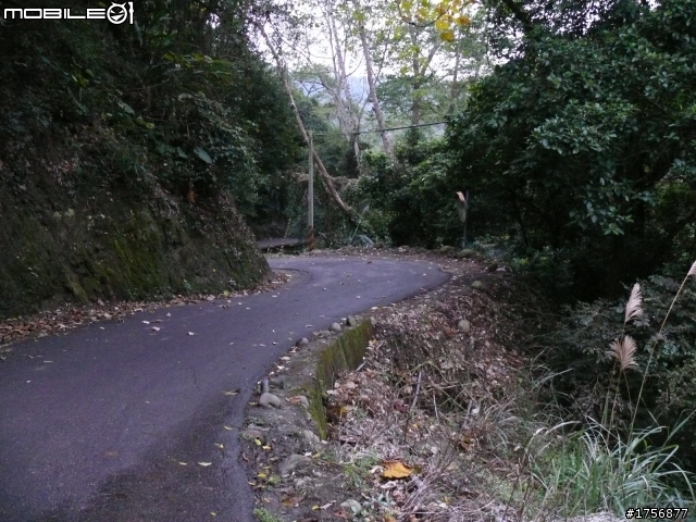 【圖文分享】風雨無阻獨跑遨遊苗栗卓蘭鯉魚潭