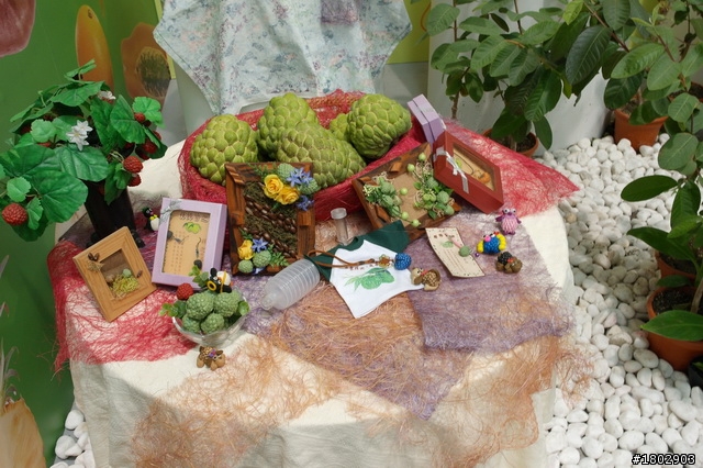 Nx100花博遊
