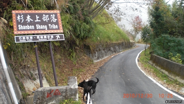 霞喀羅國家步道單騎越嶺—我和狗狗~小黑(上)