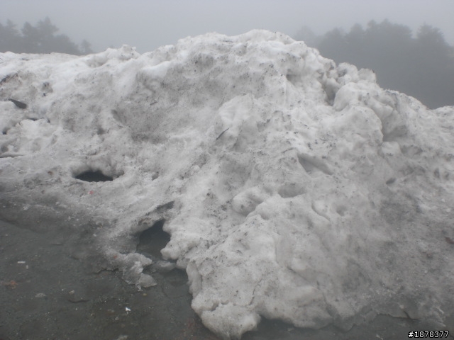 1/21 終於衝上去合歡山 武嶺了   都是雪