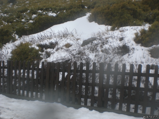 1/21 終於衝上去合歡山 武嶺了   都是雪