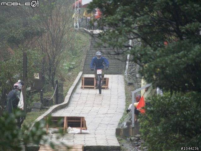 2011/01/08 Specialized 黃金小鎮精英下坡賽 照片