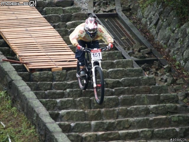2011/01/08 Specialized 黃金小鎮精英下坡賽 照片