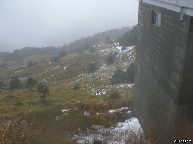 1/21 終於衝上去合歡山 武嶺了   都是雪