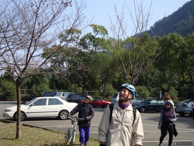 石門水庫賞楓行