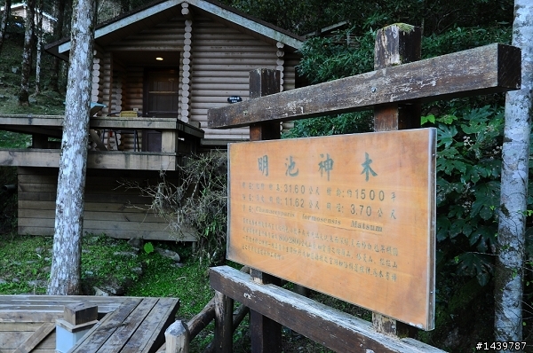 合歡山爆走兄弟在600km的旅程裡油0感動無價