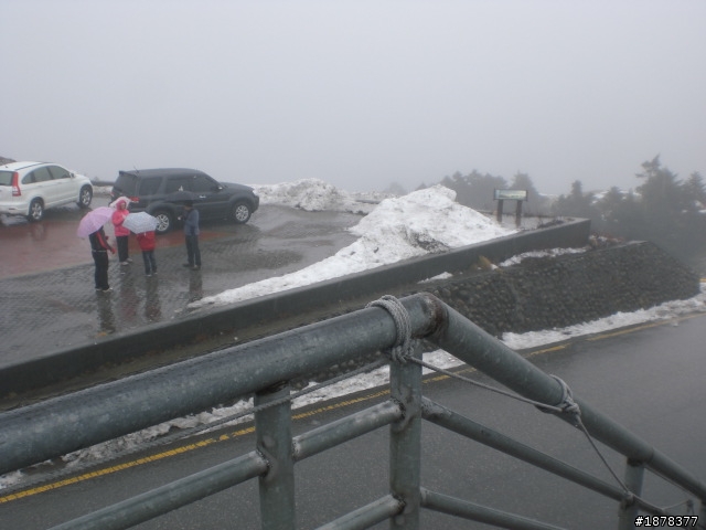 1/21 終於衝上去合歡山 武嶺了   都是雪
