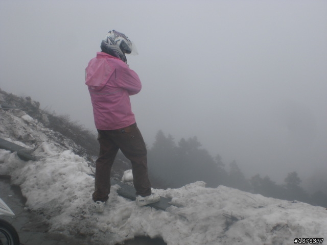 1/21 終於衝上去合歡山 武嶺了   都是雪