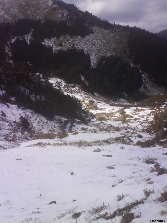 1/18 雪花飄飄武嶺去~