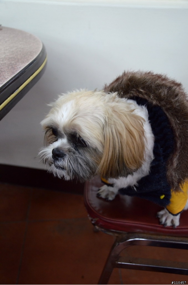 （開箱）I10手排新年首發，歡迎一起蓋公寓
