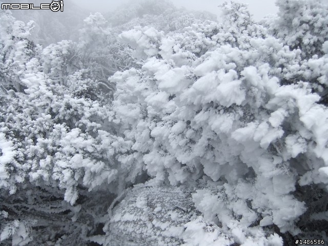 玉山暴走