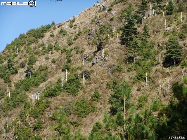 玉山暴走