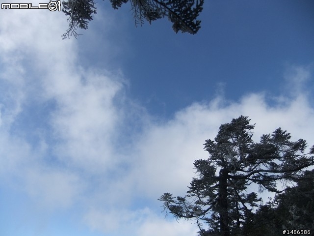 玉山暴走
