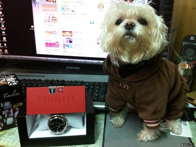 新年禮物開箱~~TISSOT PRC200 時尚計時機械腕錶