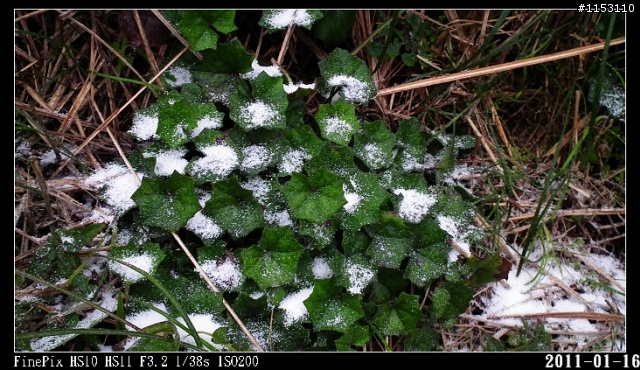 HS10大屯山助航台~下雪了~