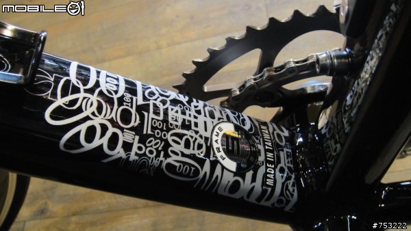 【箱子遺失的開箱】 Giant TCR SL 100