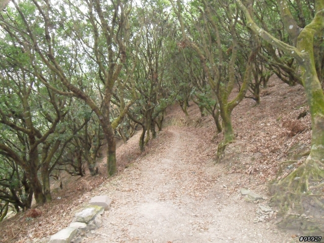 高雄--尾寮山步道. 4+2+11
