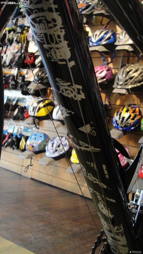 【箱子遺失的開箱】 Giant TCR SL 100