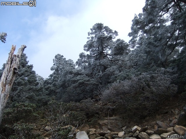 玉山暴走